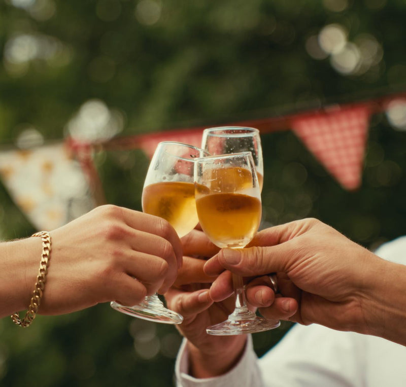 Three people clinking glasses of Lemoencello with a festive background
